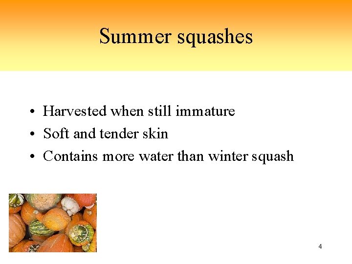 Summer squashes • Harvested when still immature • Soft and tender skin • Contains