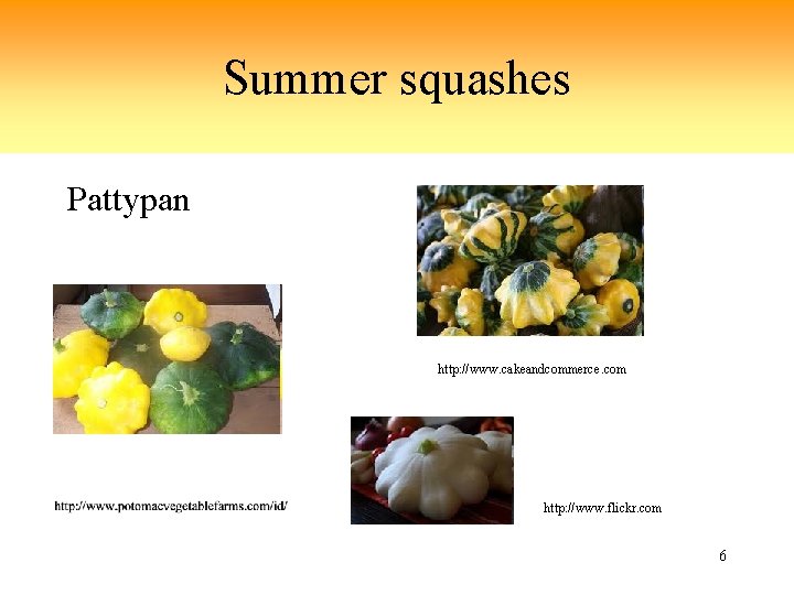 Summer squashes Pattypan http: //www. cakeandcommerce. com http: //www. flickr. com 6 