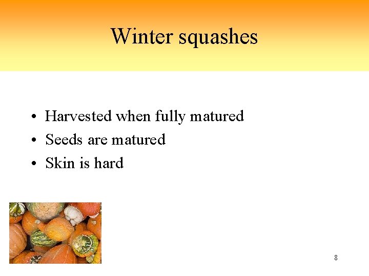 Winter squashes • Harvested when fully matured • Seeds are matured • Skin is