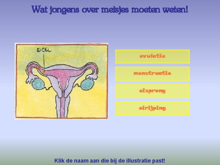 Wat jongens over meisjes moeten weten! ovulatie menstruatie eisprong eirijping Klik de naam aan