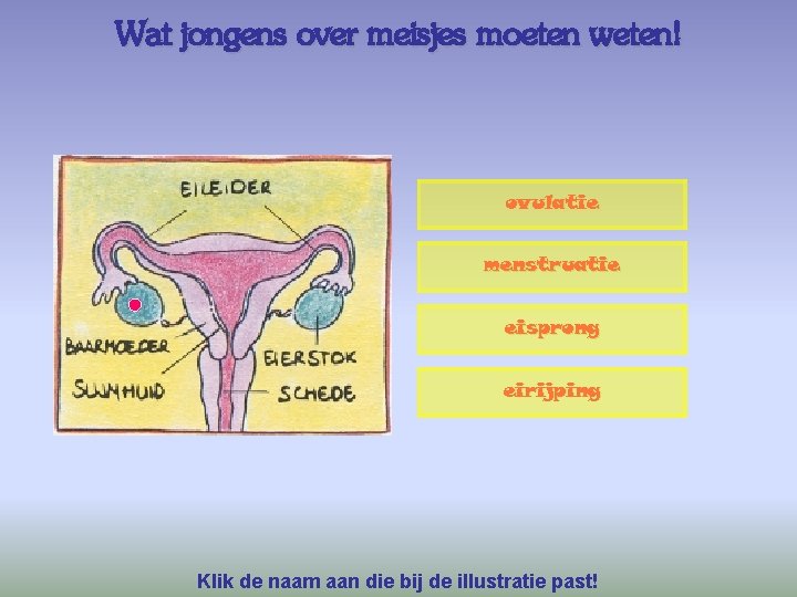 Wat jongens over meisjes moeten weten! ovulatie menstruatie eisprong eirijping Klik de naam aan