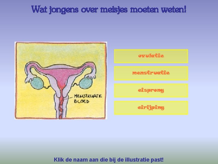 Wat jongens over meisjes moeten weten! ovulatie menstruatie eisprong eirijping Klik de naam aan