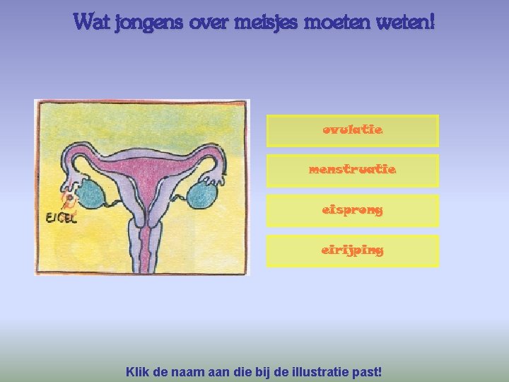 Wat jongens over meisjes moeten weten! ovulatie menstruatie eisprong eirijping Klik de naam aan