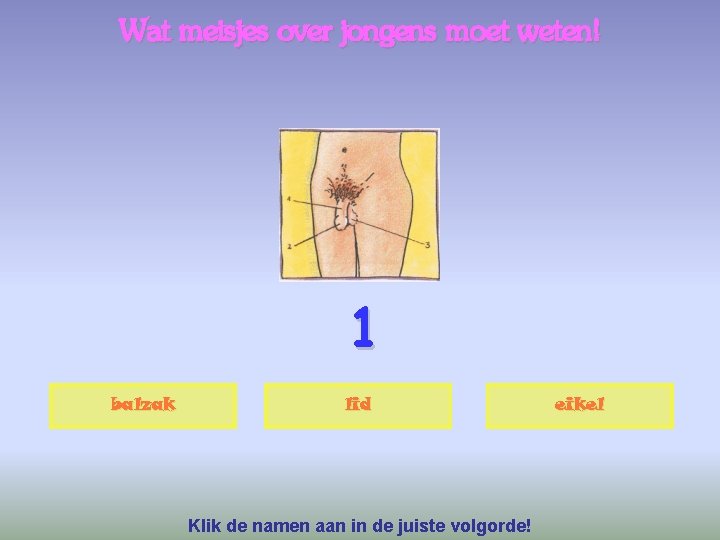 Wat meisjes over jongens moet weten! 1 balzak lid Klik de namen aan in