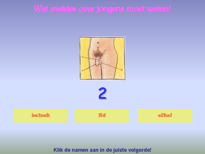 Wat meisjes over jongens moet weten! 2 balzak lid Klik de namen aan in