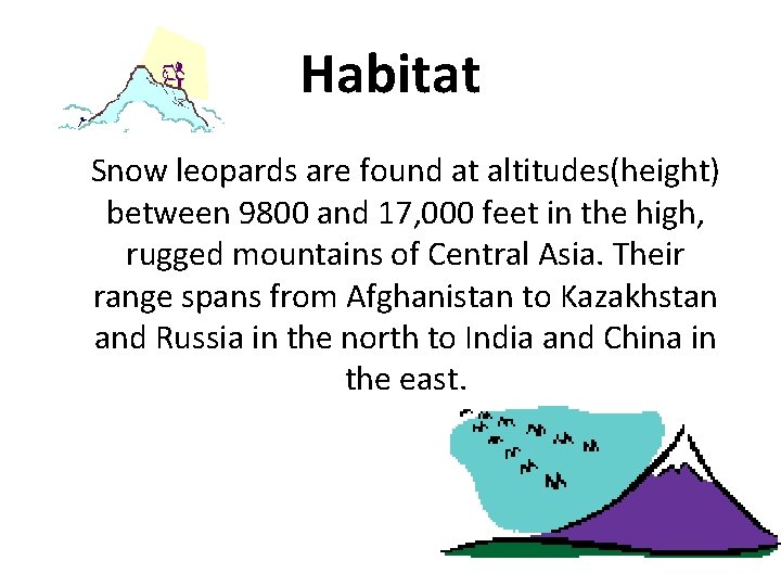 Habitat Snow leopards are found at altitudes(height) between 9800 and 17, 000 feet in