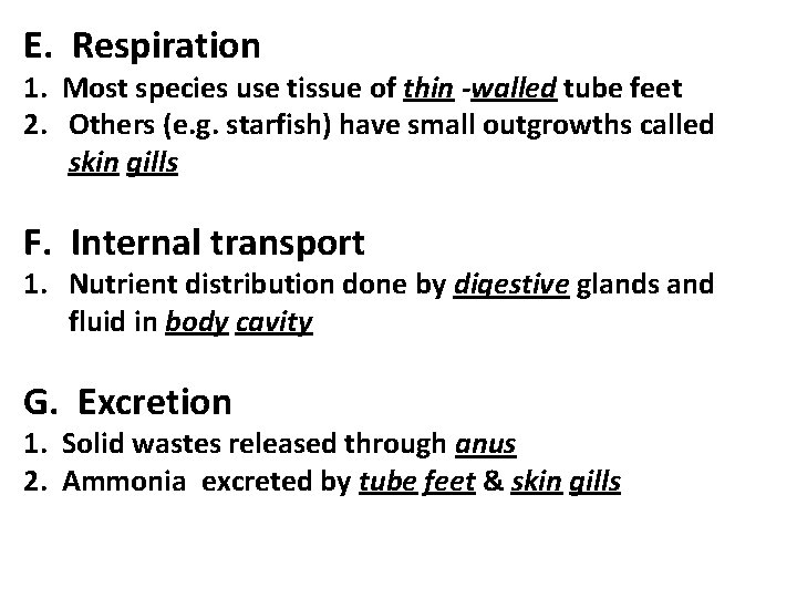 E. Respiration 1. Most species use tissue of thin -walled tube feet 2. Others