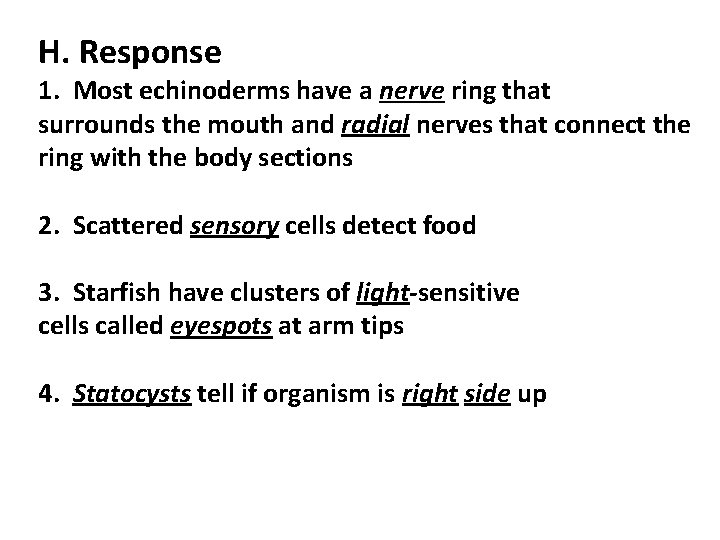 H. Response 1. Most echinoderms have a nerve ring that surrounds the mouth and