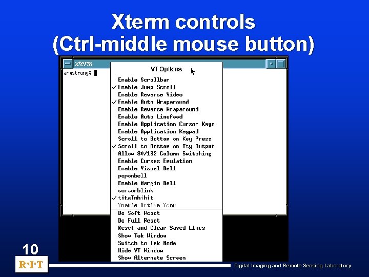 Xterm controls (Ctrl-middle mouse button) 10 R. I. T Digital Imaging and Remote Sensing