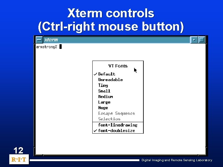 Xterm controls (Ctrl-right mouse button) 12 R. I. T Digital Imaging and Remote Sensing