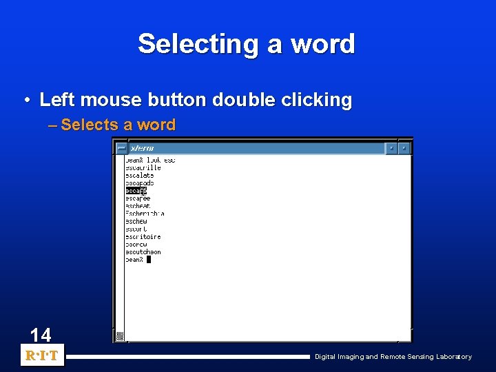 Selecting a word • Left mouse button double clicking – Selects a word 14