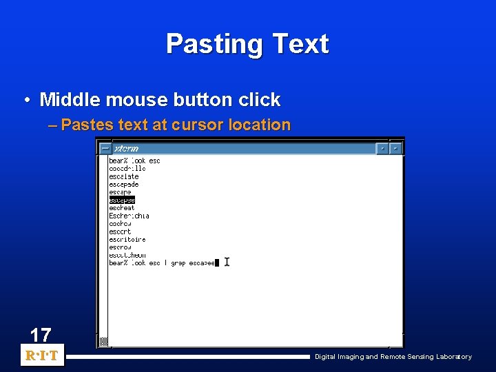 Pasting Text • Middle mouse button click – Pastes text at cursor location 17