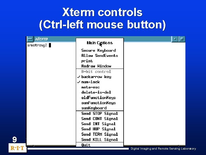 Xterm controls (Ctrl-left mouse button) 9 R. I. T Digital Imaging and Remote Sensing