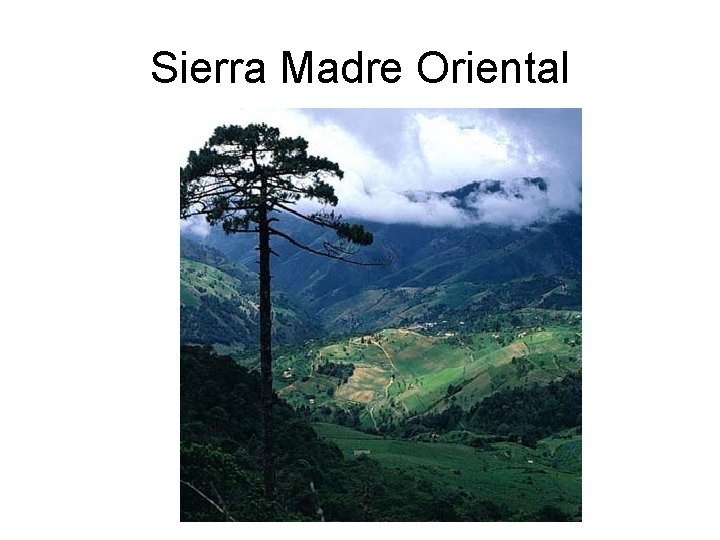 Sierra Madre Oriental 