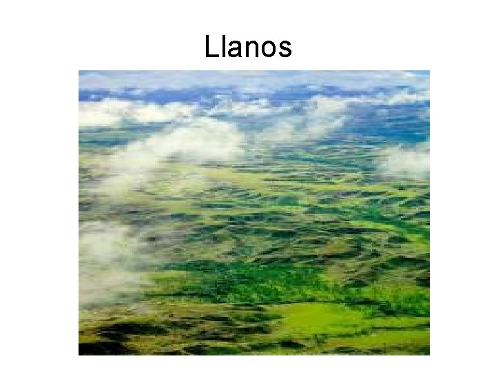 Llanos 