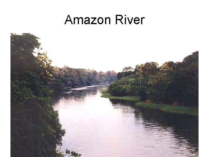 Amazon River 