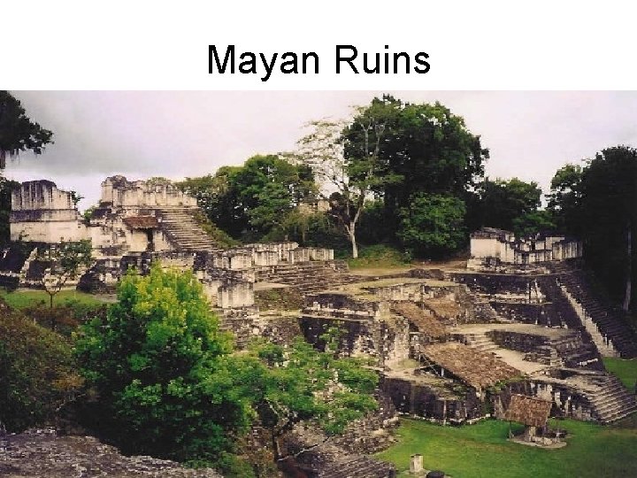 Mayan Ruins 