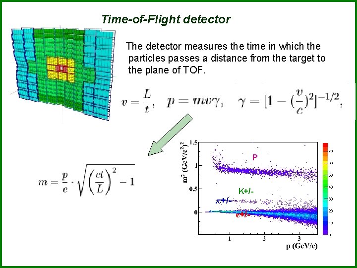 Time-of-Flight detector The detector measures the time in which the particles passes a distance