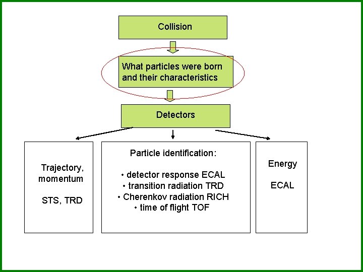 Collision What particles were born and their characteristics Detectors Particle identification: Trajectory, momentum STS,