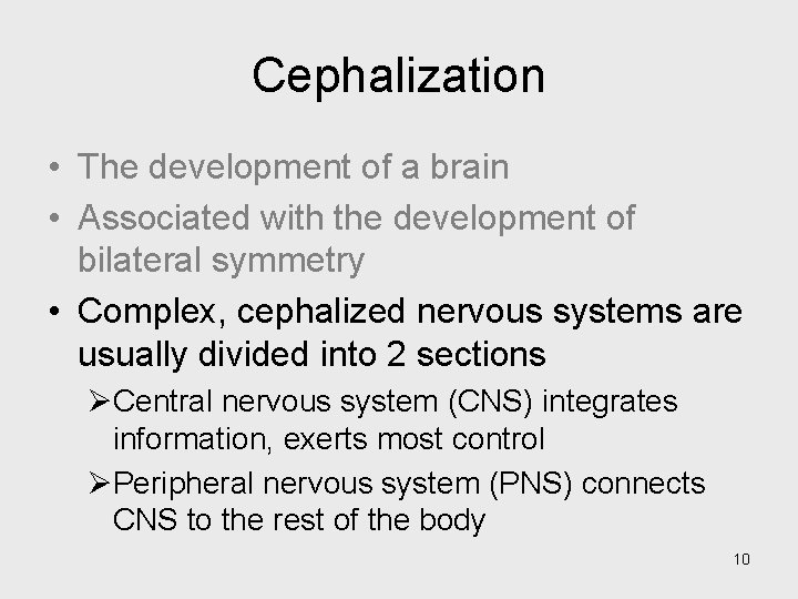 Cephalization • The development of a brain • Associated with the development of bilateral