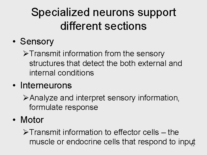 Specialized neurons support different sections • Sensory ØTransmit information from the sensory structures that
