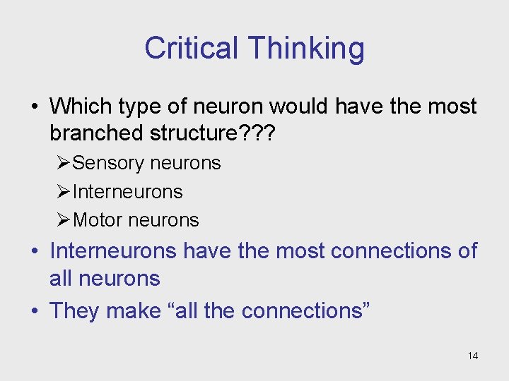 Critical Thinking • Which type of neuron would have the most branched structure? ?
