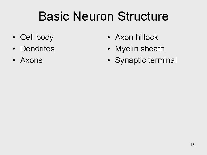 Basic Neuron Structure • Cell body • Dendrites • Axons • Axon hillock •