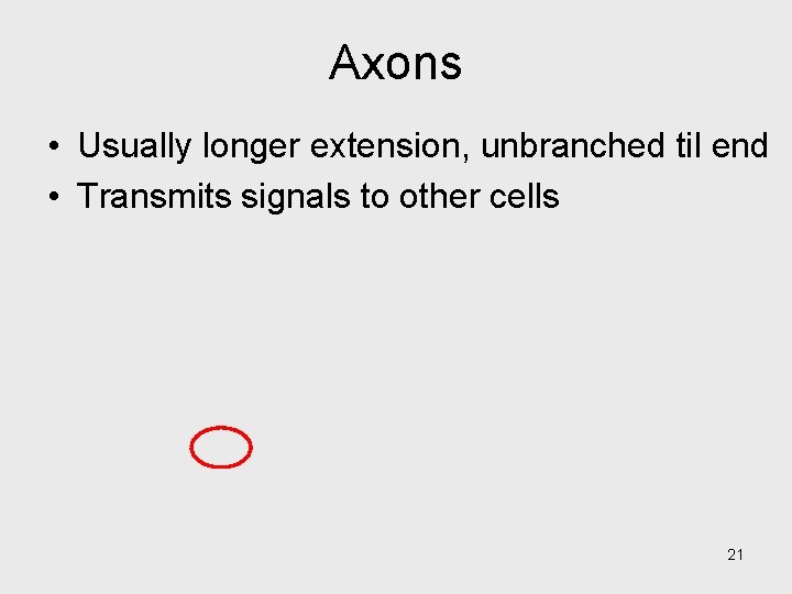 Axons • Usually longer extension, unbranched til end • Transmits signals to other cells