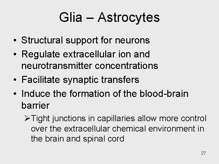 Glia – Astrocytes • Structural support for neurons • Regulate extracellular ion and neurotransmitter