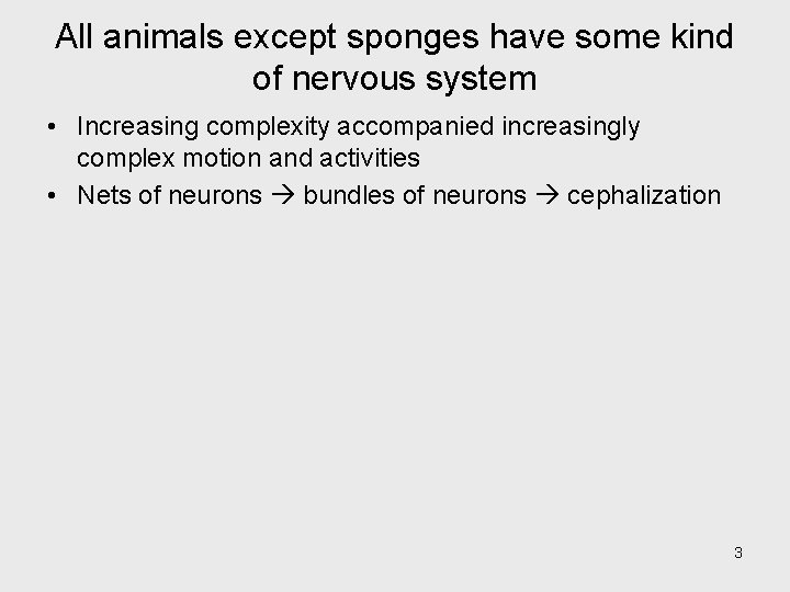 All animals except sponges have some kind of nervous system • Increasing complexity accompanied
