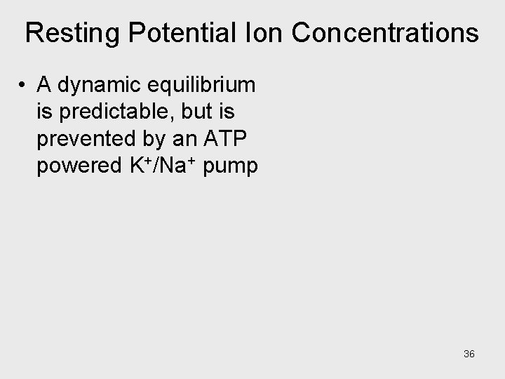 Resting Potential Ion Concentrations • A dynamic equilibrium is predictable, but is prevented by