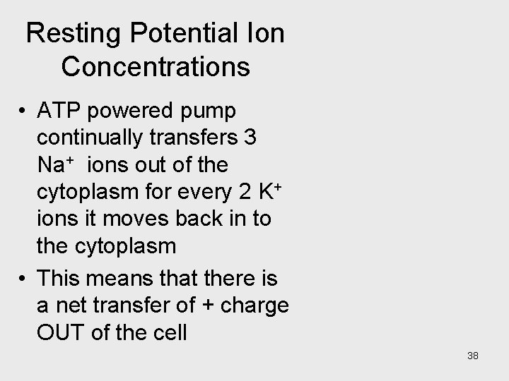 Resting Potential Ion Concentrations • ATP powered pump continually transfers 3 Na+ ions out