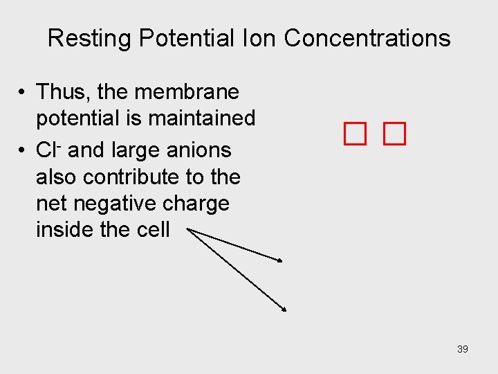 Resting Potential Ion Concentrations • Thus, the membrane potential is maintained • Cl- and