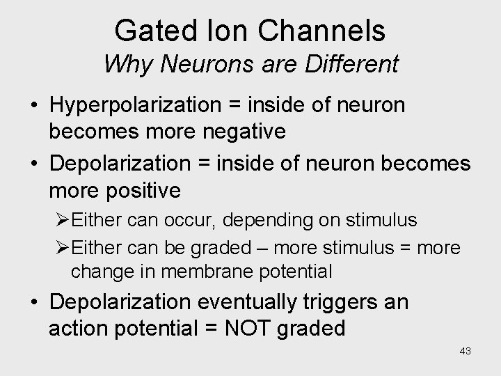 Gated Ion Channels Why Neurons are Different • Hyperpolarization = inside of neuron becomes