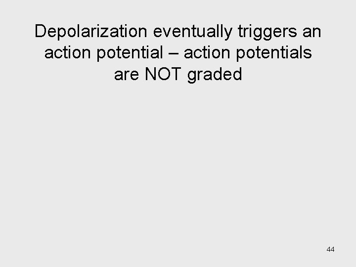 Depolarization eventually triggers an action potential – action potentials are NOT graded 44 