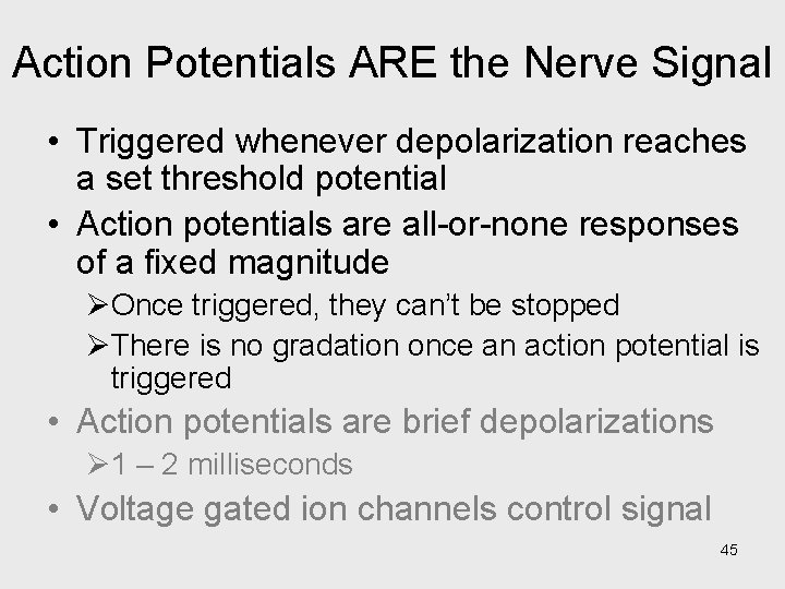 Action Potentials ARE the Nerve Signal • Triggered whenever depolarization reaches a set threshold