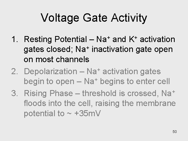 Voltage Gate Activity 1. Resting Potential – Na+ and K+ activation gates closed; Na+