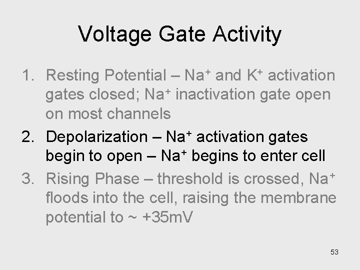 Voltage Gate Activity 1. Resting Potential – Na+ and K+ activation gates closed; Na+