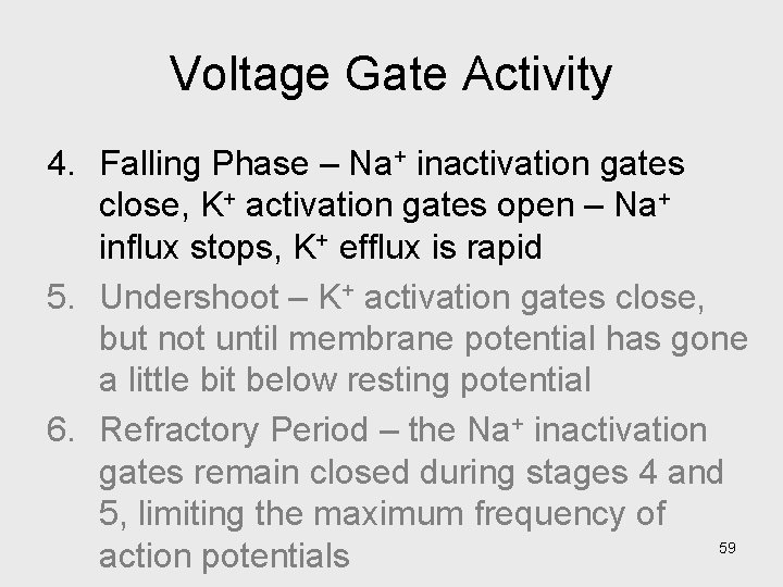 Voltage Gate Activity 4. Falling Phase – Na+ inactivation gates close, K+ activation gates