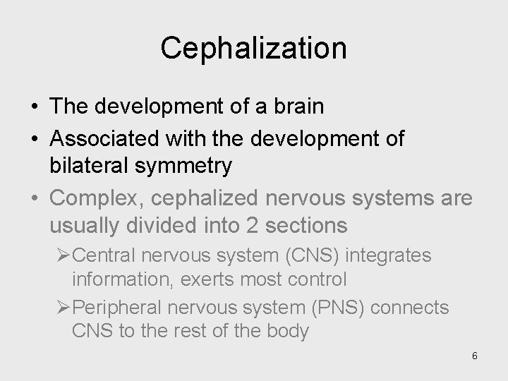 Cephalization • The development of a brain • Associated with the development of bilateral