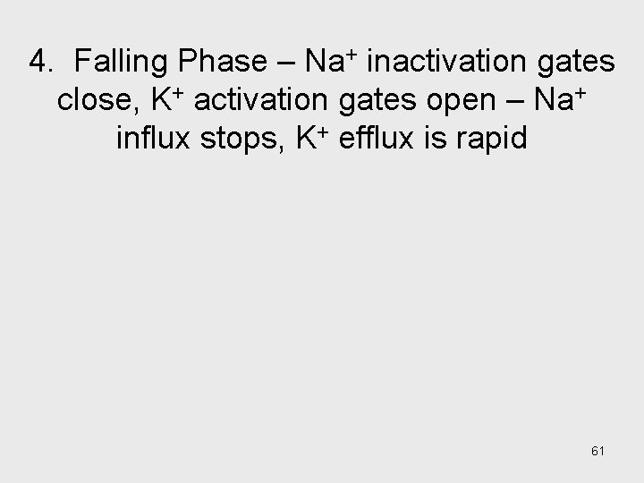 4. Falling Phase – Na+ inactivation gates close, K+ activation gates open – Na+