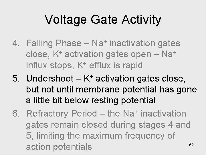 Voltage Gate Activity 4. Falling Phase – Na+ inactivation gates close, K+ activation gates