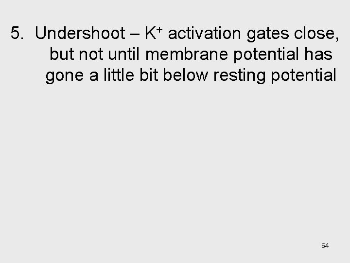 5. Undershoot – K+ activation gates close, but not until membrane potential has gone