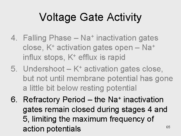 Voltage Gate Activity 4. Falling Phase – Na+ inactivation gates close, K+ activation gates