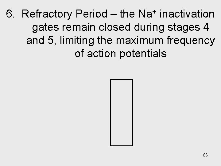 6. Refractory Period – the Na+ inactivation gates remain closed during stages 4 and