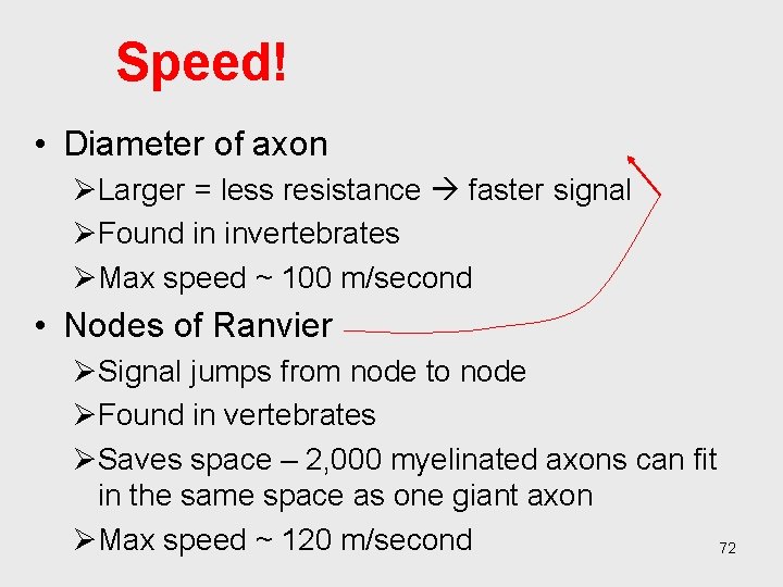 Speed! • Diameter of axon ØLarger = less resistance faster signal ØFound in invertebrates