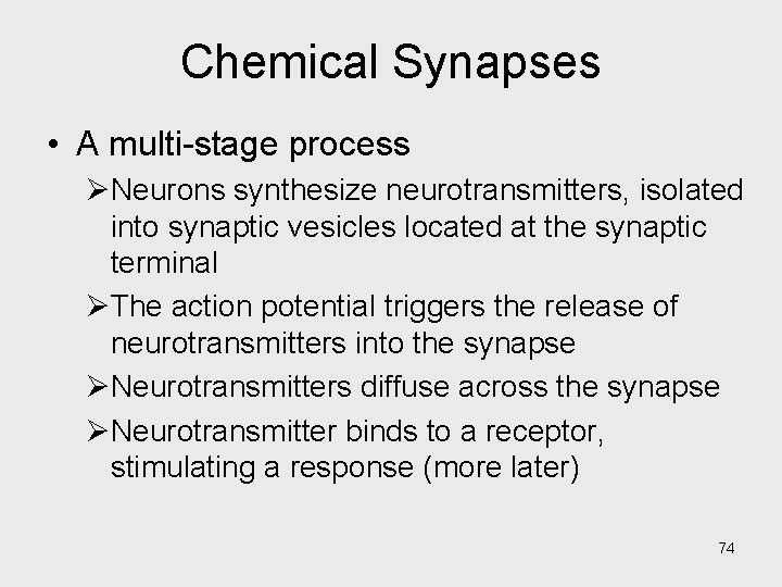 Chemical Synapses • A multi-stage process ØNeurons synthesize neurotransmitters, isolated into synaptic vesicles located