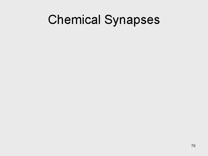 Chemical Synapses 76 