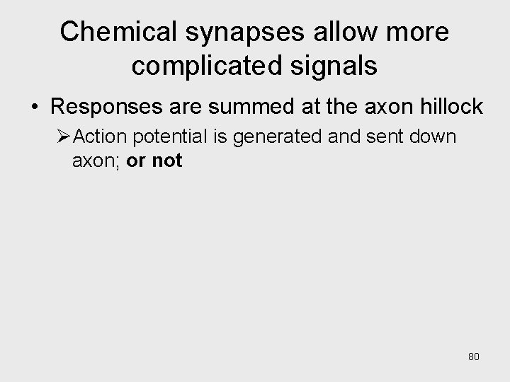 Chemical synapses allow more complicated signals • Responses are summed at the axon hillock