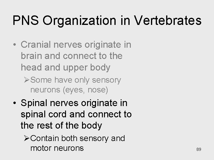 PNS Organization in Vertebrates • Cranial nerves originate in brain and connect to the